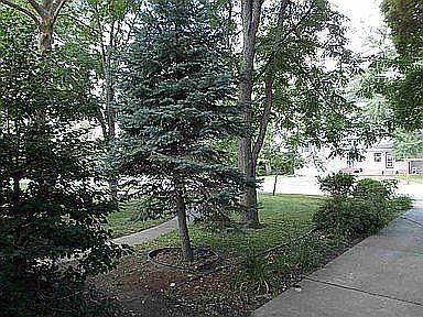 View toward street