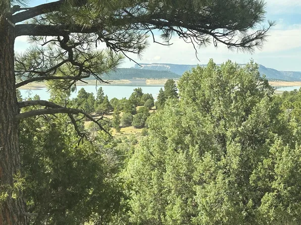 0 Canyon Rd, Los Ojos, NM 87551