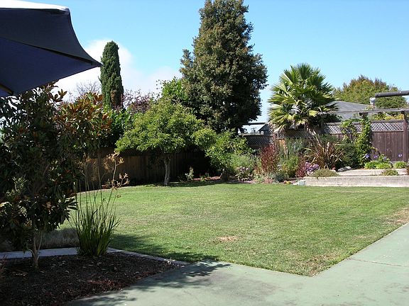 2329 Mono:  Backyard/South