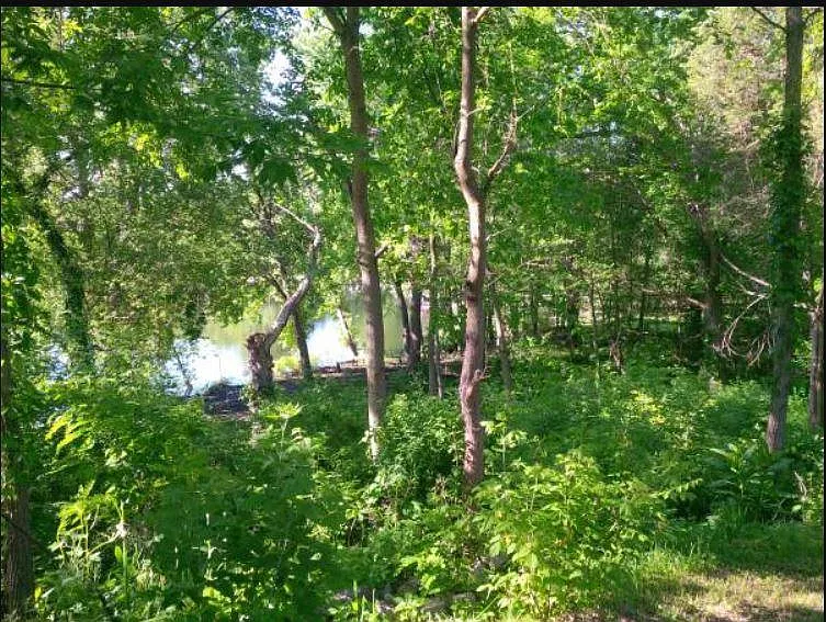 11546 Sumpter Rd — Photo 24