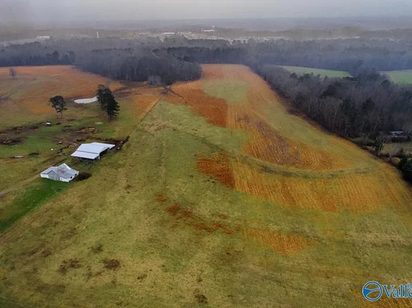 10/ACRE S Union Hill Rd, Ardmore, TN 38449
