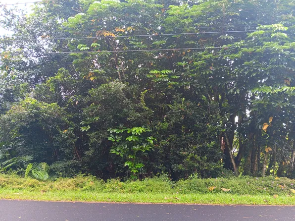 Kumakahi St Lot 40, Pahoa, HI 96778
