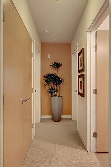 Compass Apartments — Photo 18