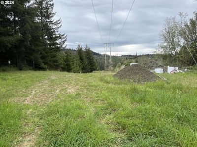 Cougar, Coquille, OR, 97423