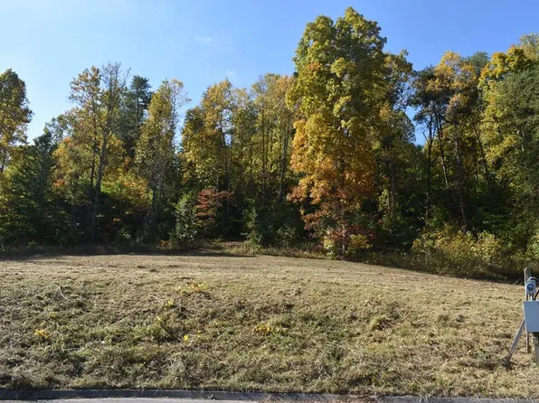 0 Briar Ridge Ln Lot 7, Strawberry Plains, TN 37871