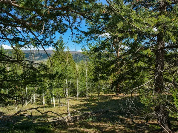 2381 Redhill Road, Fairplay, CO 80440