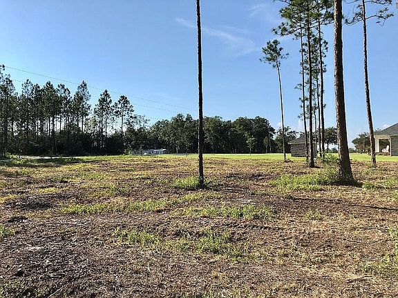 4th image of Oak Hollow Dr