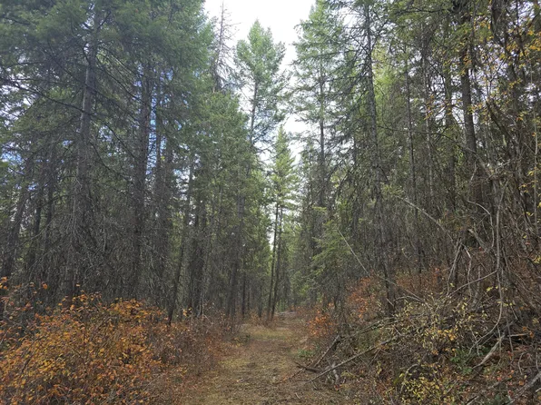 2423XX Quinns Meadow Rd, Colville, WA 99114