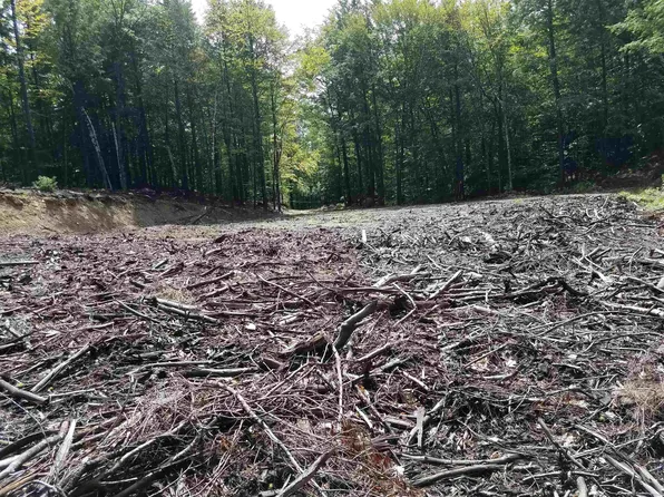 16-65-67 Bagley Hill Road, Warner, NH 03278