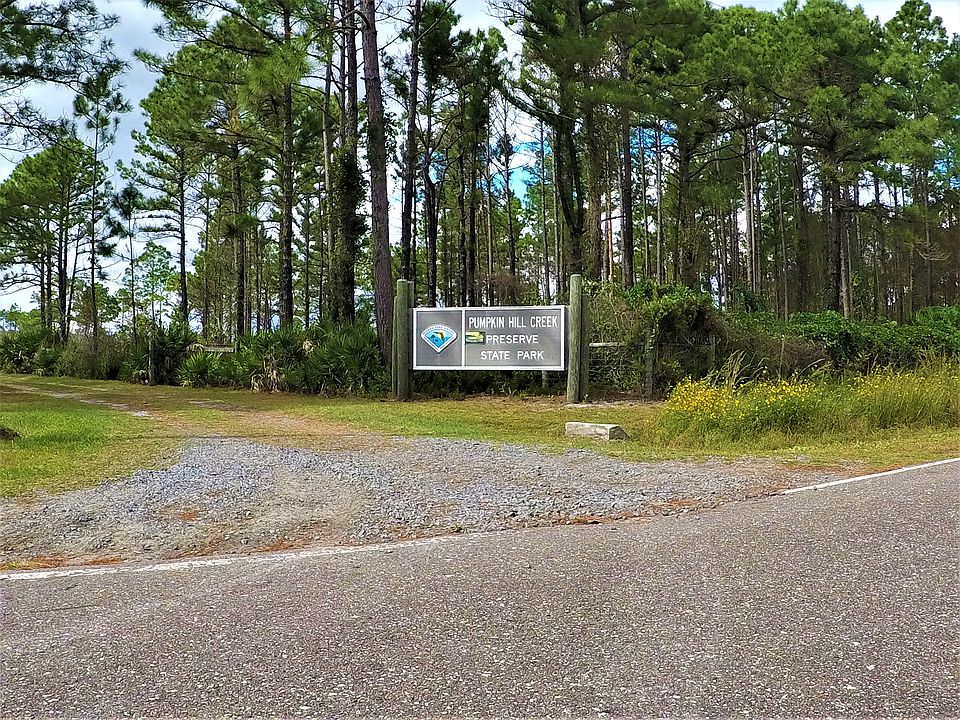 State forest (across street)
