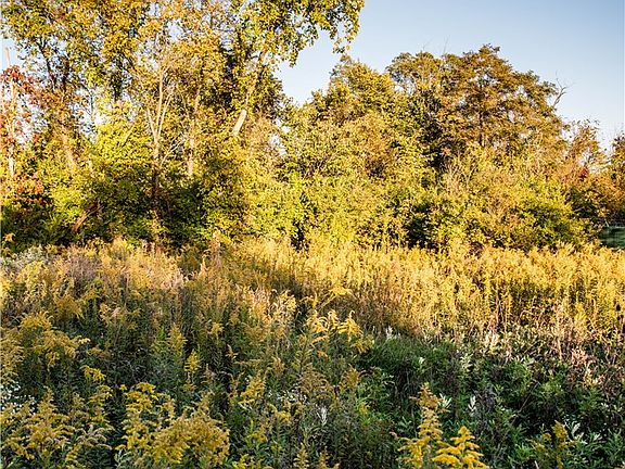 5th image of 360 Cecil Sturgeon Rd