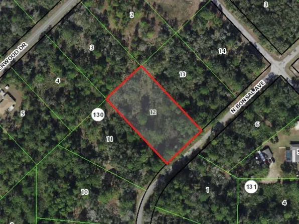 9822 N Bonsai Ave, Crystal River, FL 34428