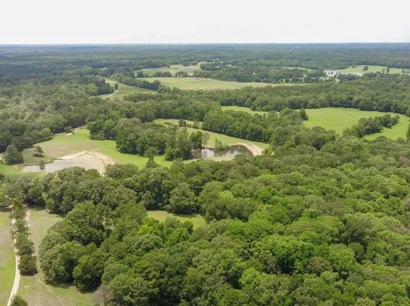 13828 Woodland Rd, Saint Francisville, LA 70775