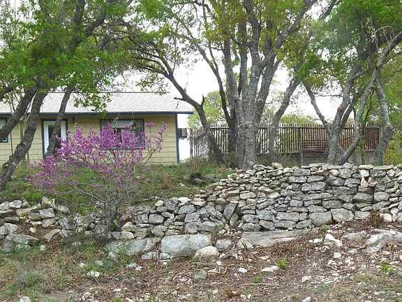 Redbuds in the spring by the old rock wall