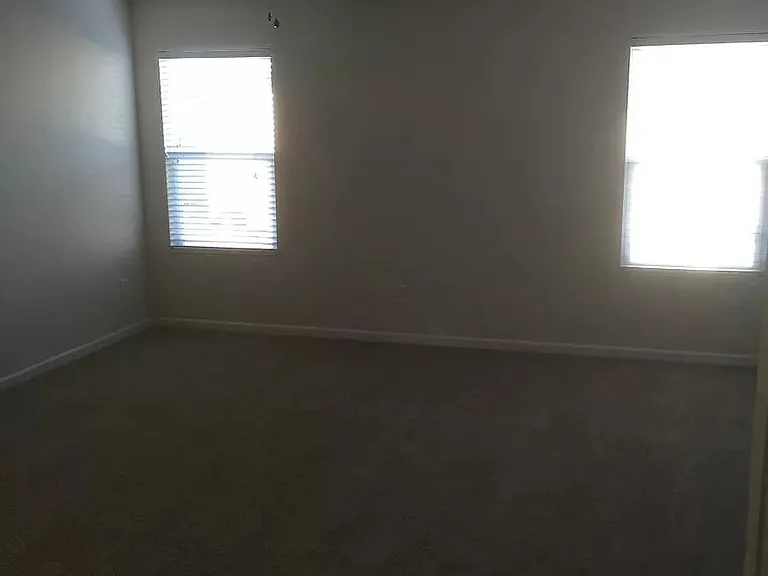 1009 Blue Stream Ln — Photo 23