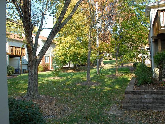 Common ground behind the home