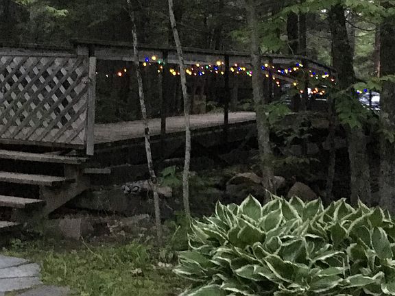 "Fairy" Bridge!