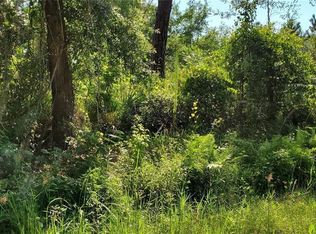 103 BOWFIN DRIVE LOT 2, SATSUMA, FL 32189