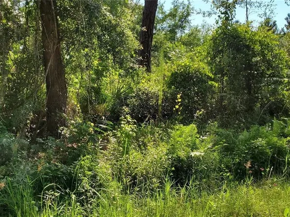 Bowfin Dr Lot 1, Satsuma, FL 32189