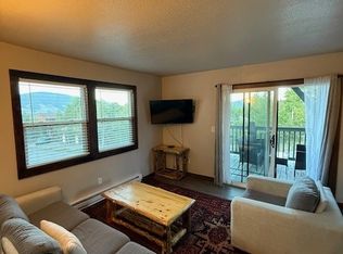 8026 Ryan Gulch Rd, Silverthorne, CO 80498