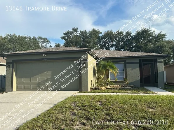 13646 Tramore Dr, Odessa, FL 33556