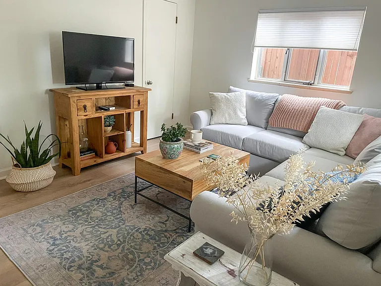 Downstairs Living Room Area