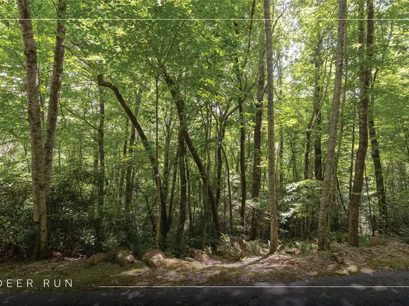 Lot 54 Toxaway Lane, Sapphire, NC 28774