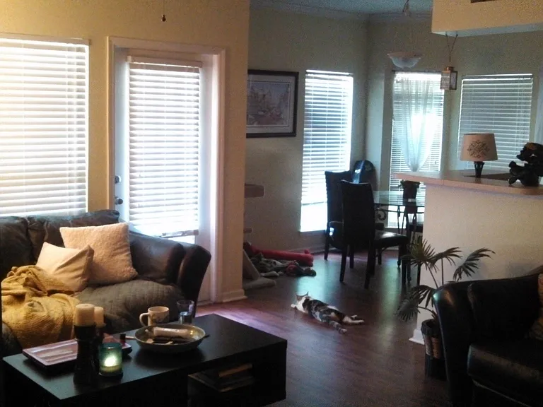 700 Daniel Ellis Dr #14108 — Photo 7