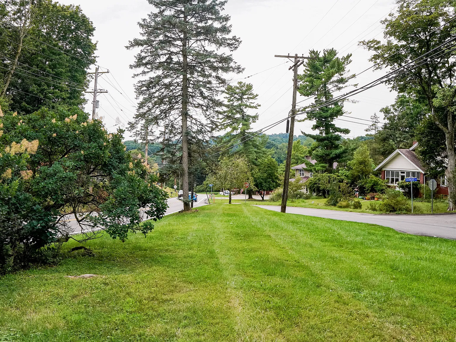 2 bed, 986 sqft, $2,000 — Photo 4