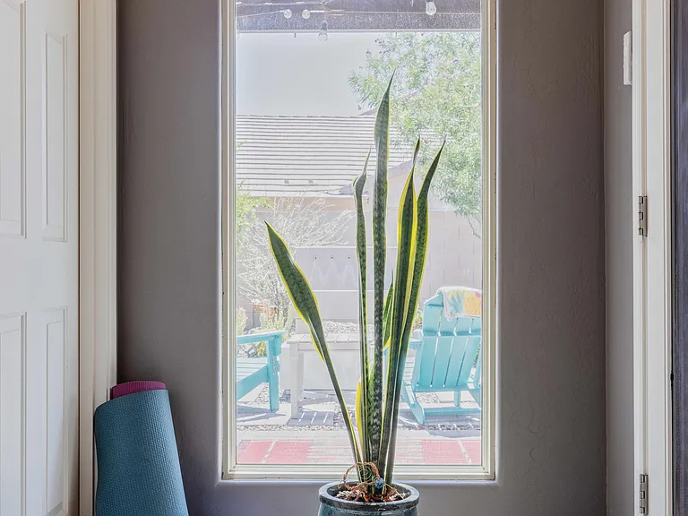 Yoga indoors or out. Either way you feel the sunshine.