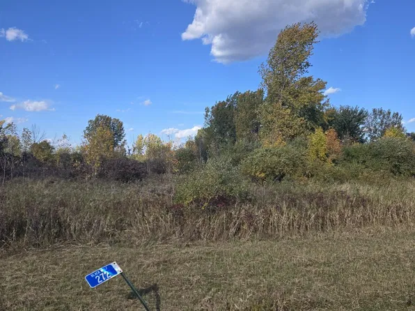 272 Lone Elm Ave, Van Dyne, WI 54979