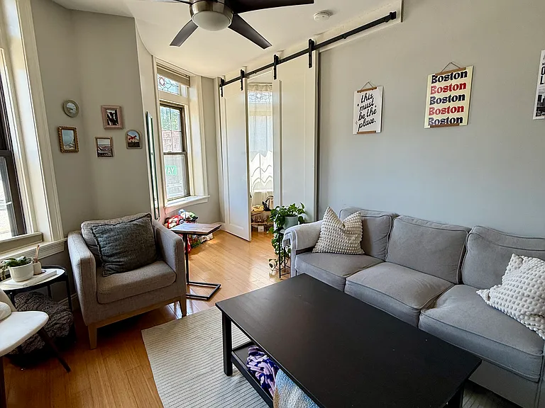 Living room with ceiling fan