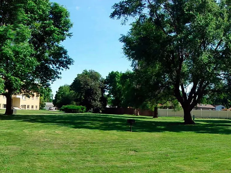 Beautiful Landscaping
