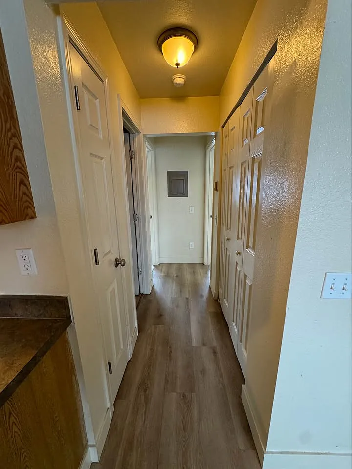 2 bed, 725 sqft, $1,450 — Photo 3