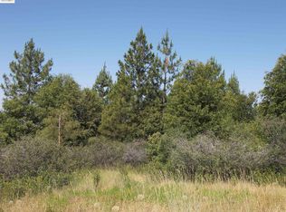 19290 Yosemite Springs Rd, Groveland, CA 95321