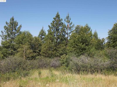 19290 Yosemite Springs Rd, Groveland, CA, 95321