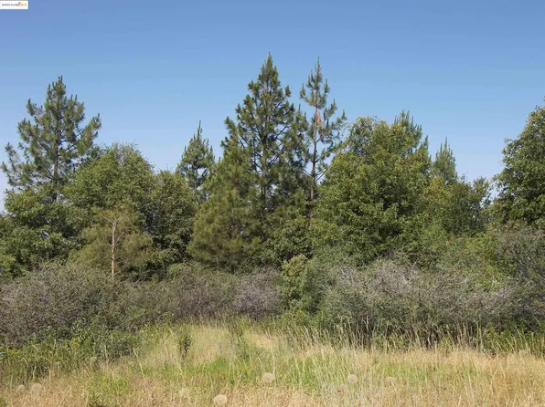 19290 Yosemite Springs Rd, Groveland, CA 95321