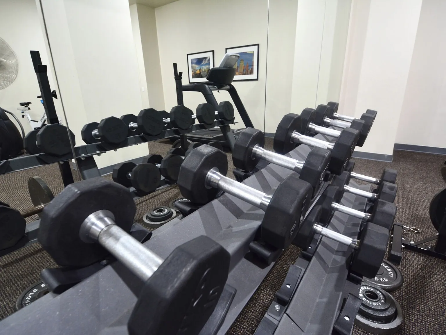 Professional Building Lofts — Photo 2