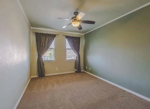 12959 Early Wood Dr — Photo 18
