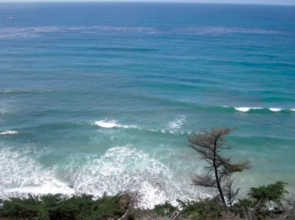 345 W I St #8, Encinitas, CA 92024