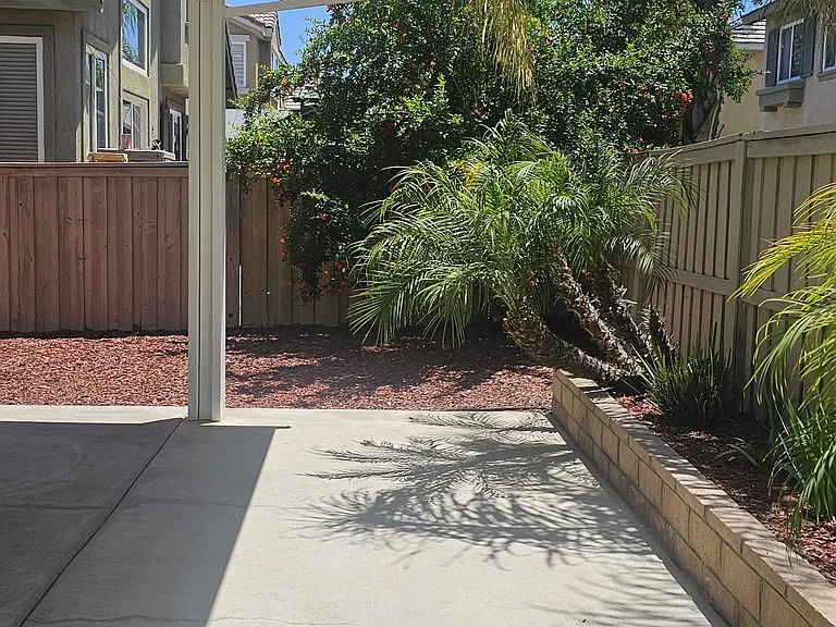 Back yard and deck.