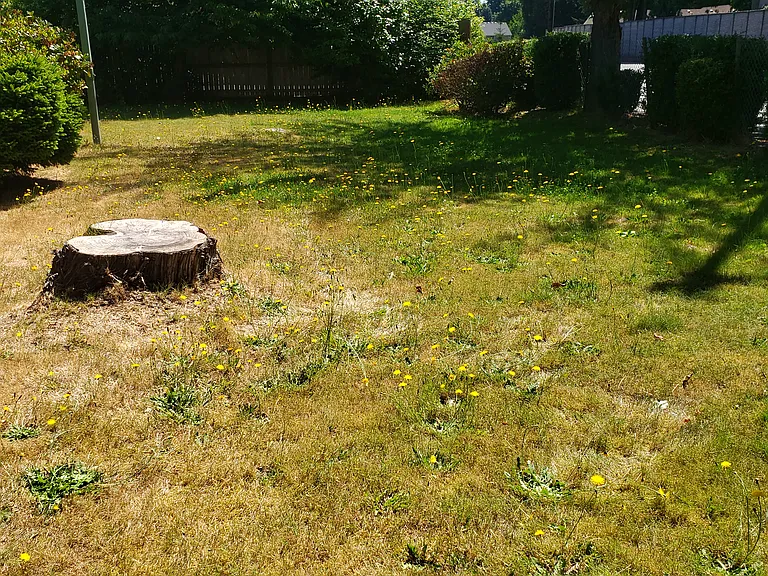 1748 Yelm Hwy SE — Photo 16