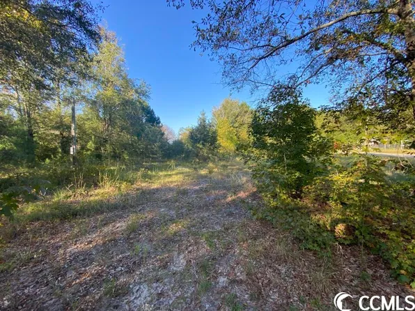 2.0 Acres Amber Ln., Galivants Ferry, SC 29544