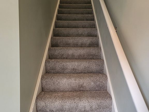 brand new carpet 2025