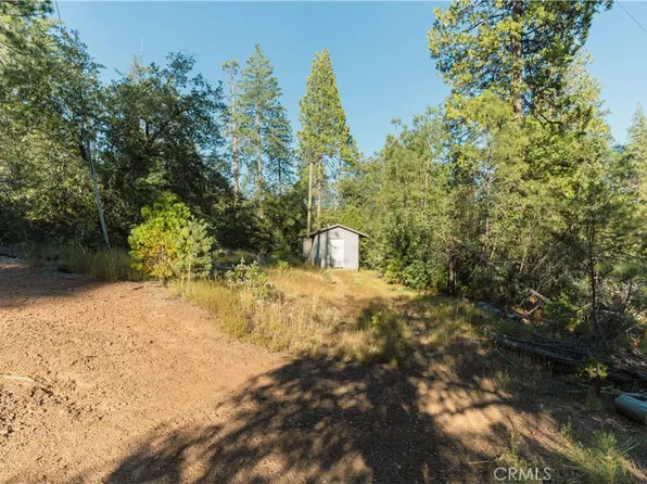 10902 Stout Ln #B, Coulterville, CA 95311