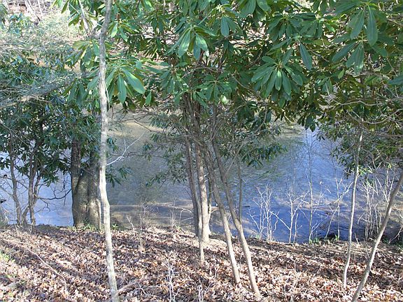 3rd image of 1625 Gauley River Rd
