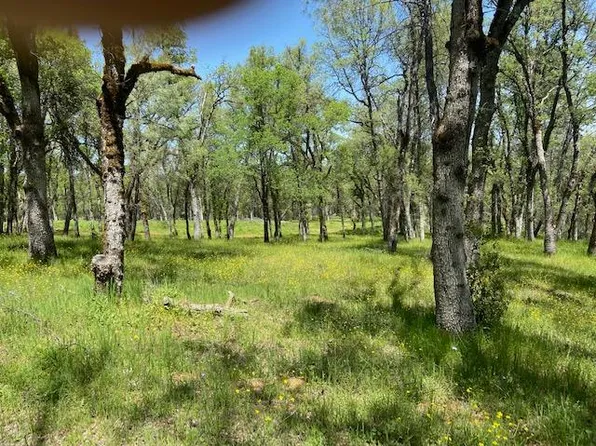 11560 Still Rd, Grass Valley, CA 95949