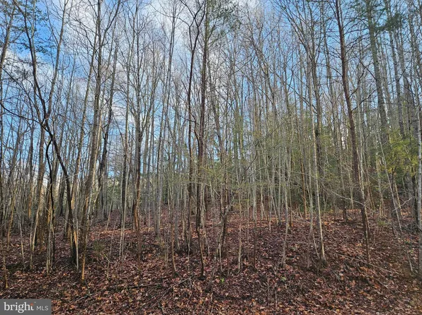 Lots 7 8 9 Old Prospect Landing Rd, Montross, VA 22520