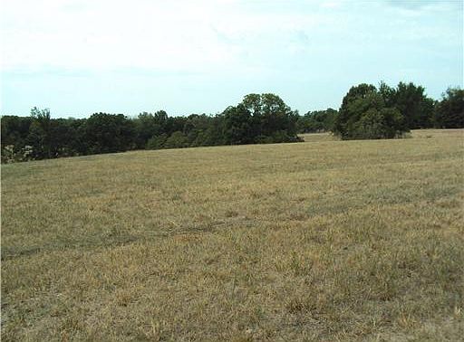 2nd image of Mount Olive Rd