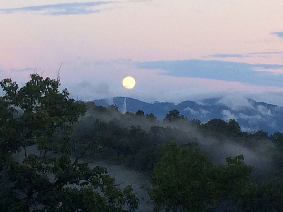 Rising moon